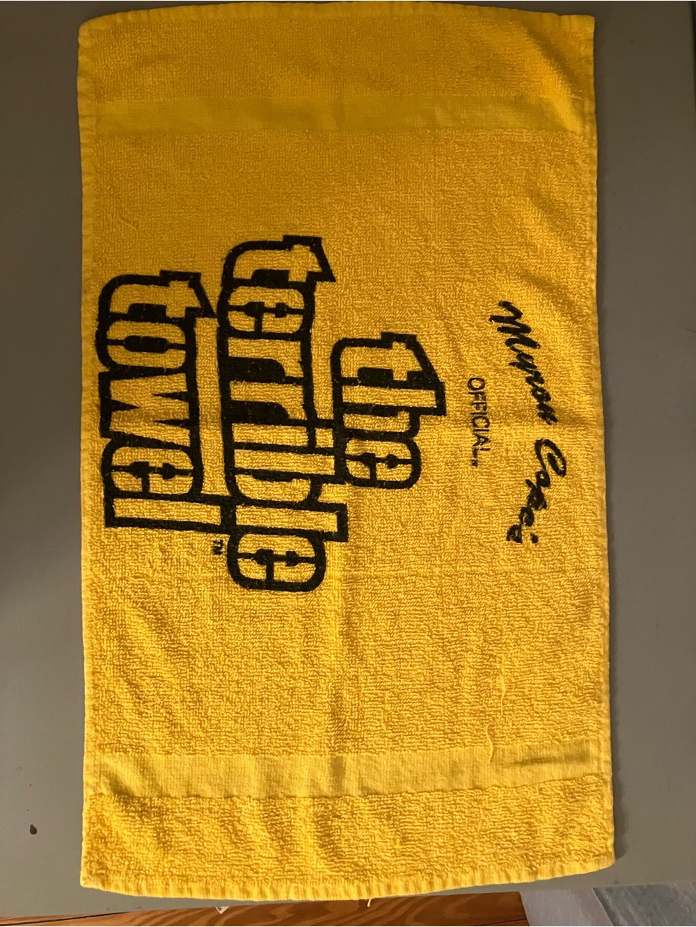 TWO Pittsburgh Steelers Official Terrible Towels